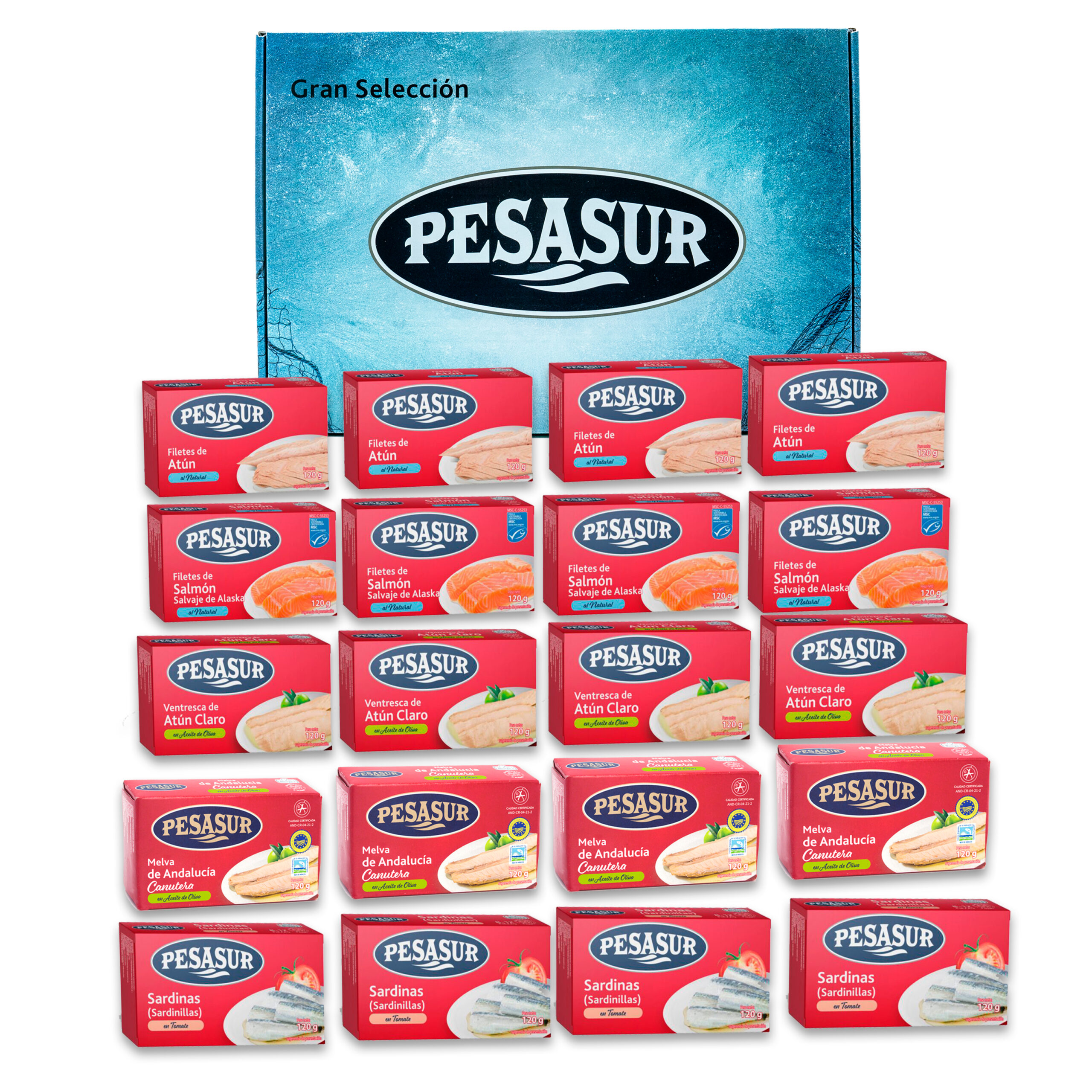 PACK 20 LATAS TRADICIONALES